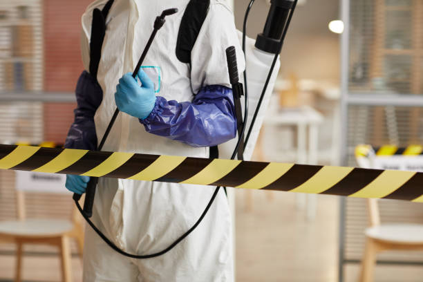 Professional Sewage Cleanup technician working in Connecticut, CT